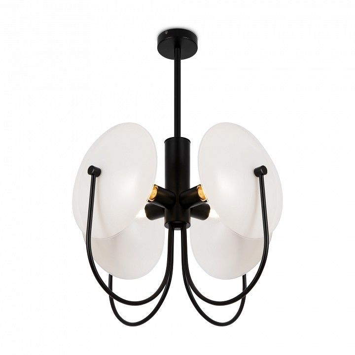 Люстра на штанге Freya Ellipse FR5320PL-04B