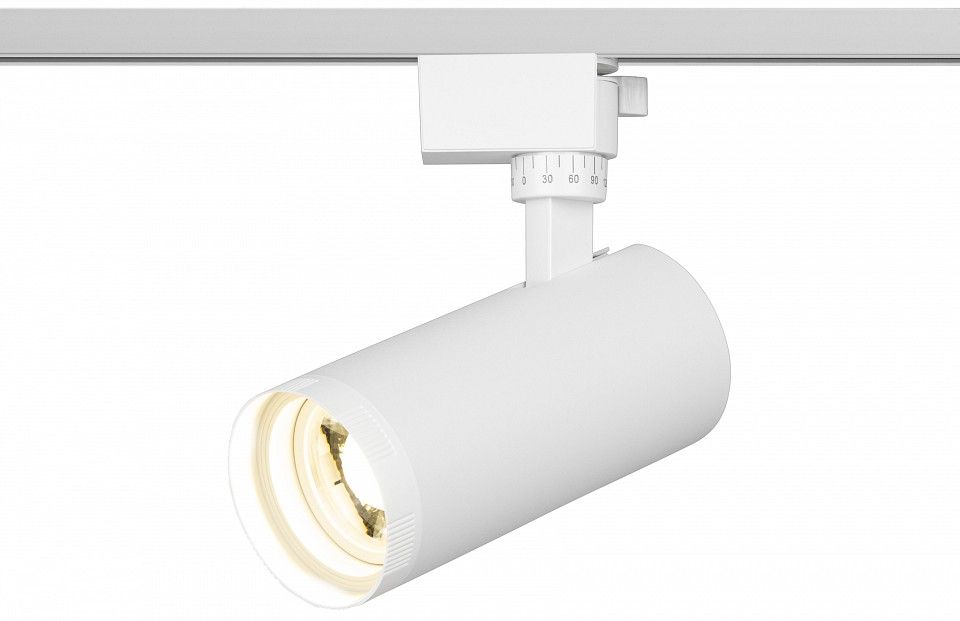 Светильник на штанге Эра  TR59 - 2040 WH