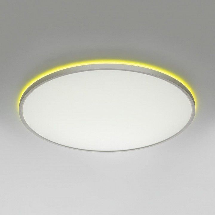 Накладной светильник Citilux NORMA CL749600
