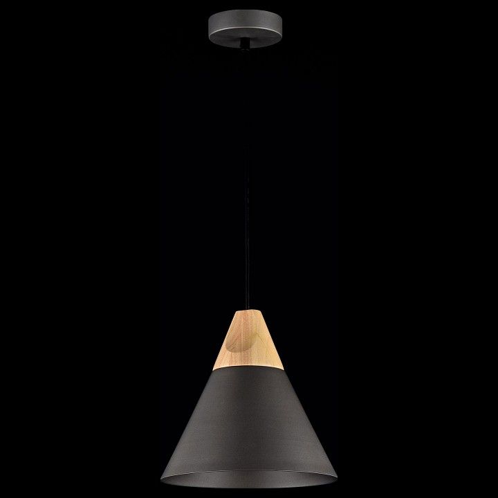 Подвесной светильник Maytoni Биконес P359-PL-220-C