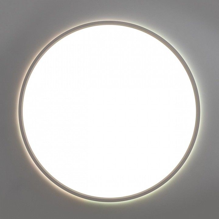 Накладной светильник Citilux NORMA CL749500
