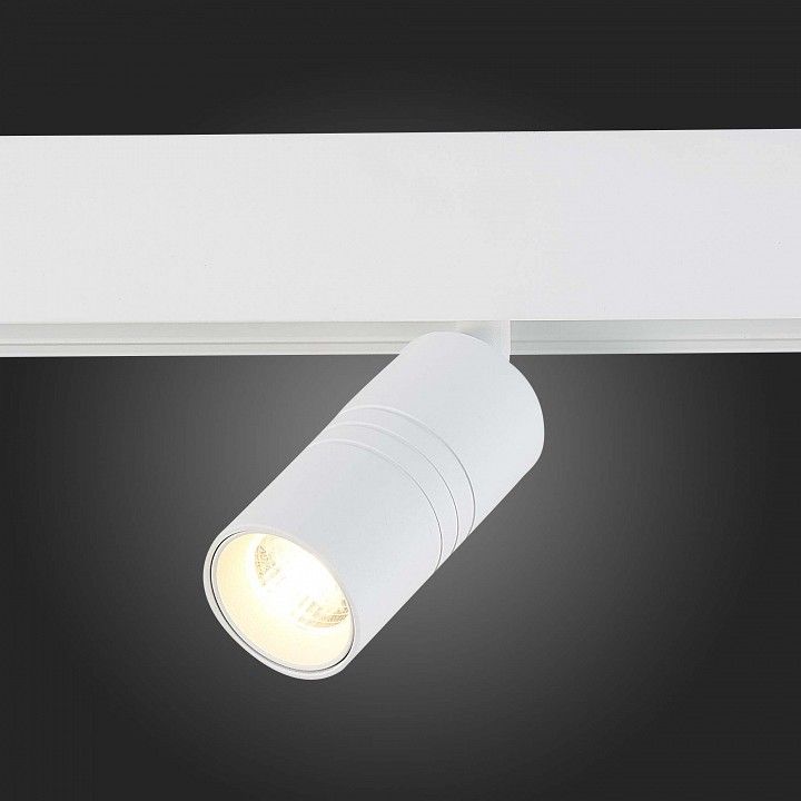 Светильник на штанге ST-Luce Lemmi ST365.536.07