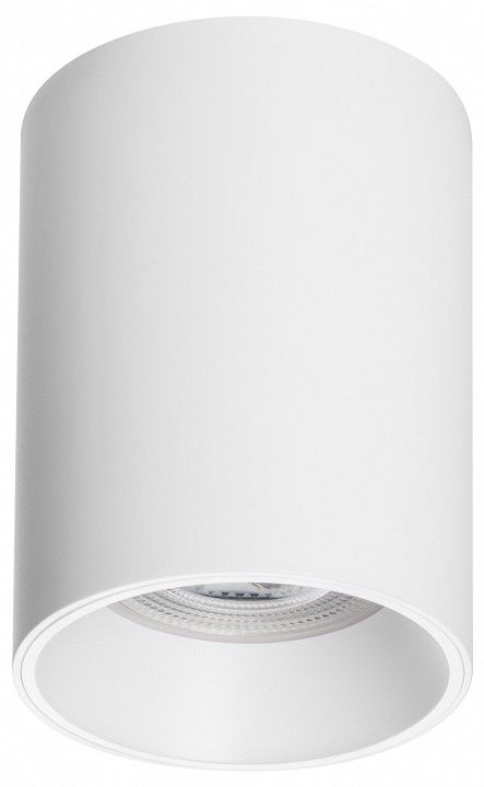 Накладной светильник Lightstar Rullo 213436