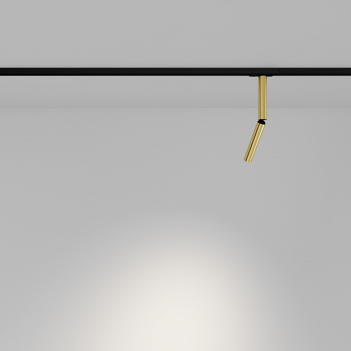 Светильник на штанге Maytoni Technical Focus T TR142-1-6W3K-BS