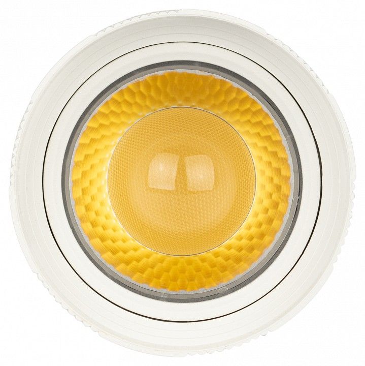 Светильник на штанге Эра  TR59 - 2040 WH