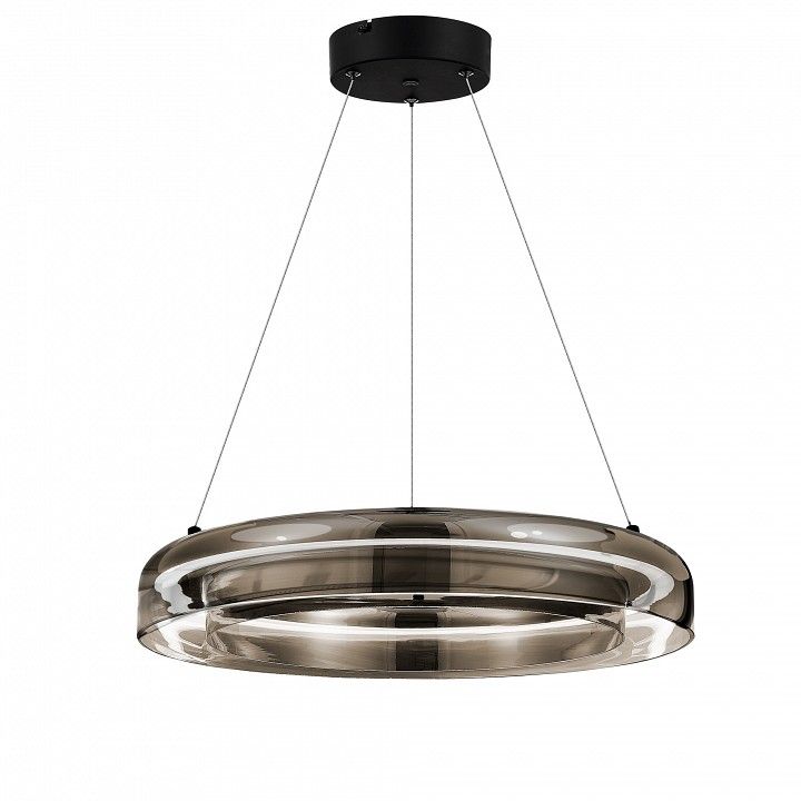 Подвесной светильник ST-Luce Foray SL6019.333.01