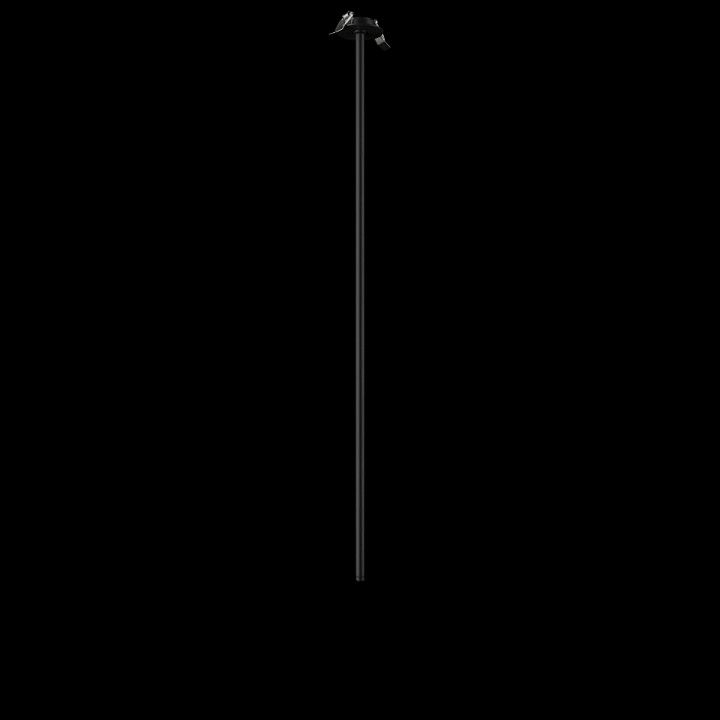 Встраиваемый светильник на штанге Loft it Cane 10359/1000 Black