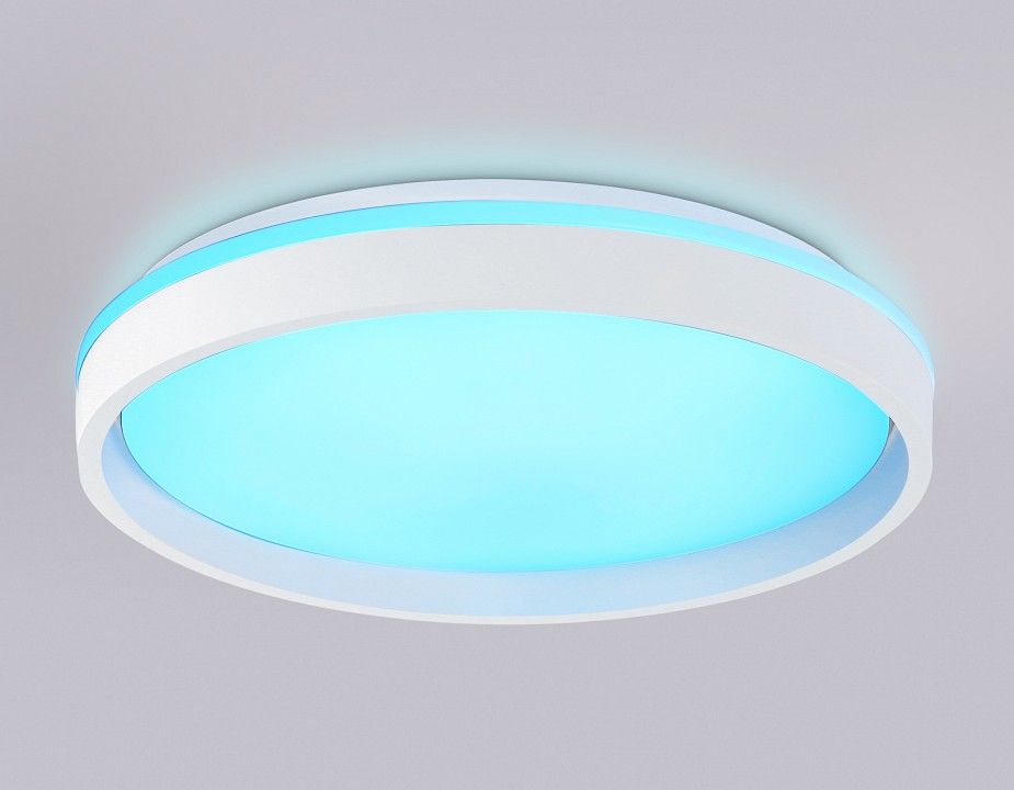 Накладной светильник Ambrella Light FZ FZ607