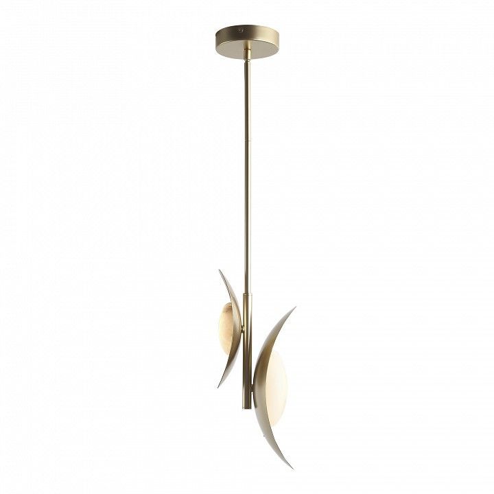 Подвесной светильник ST-Luce Pearl SL6229.203.02