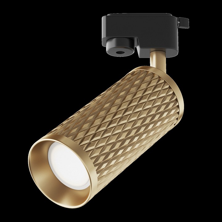 Светильник на штанге Maytoni Technical Focus Design TR011-1-GU10-G