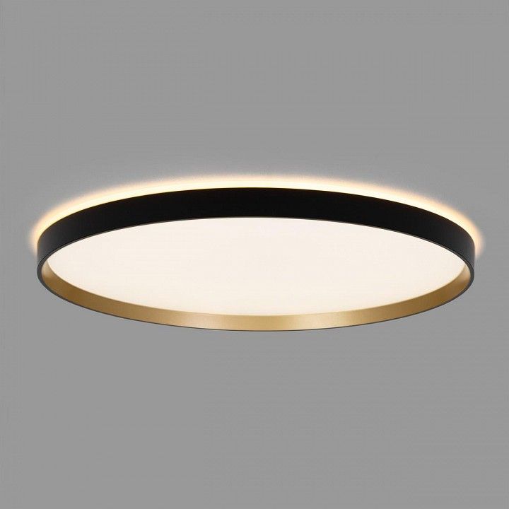 Накладной светильник Citilux ETALON CL750501R