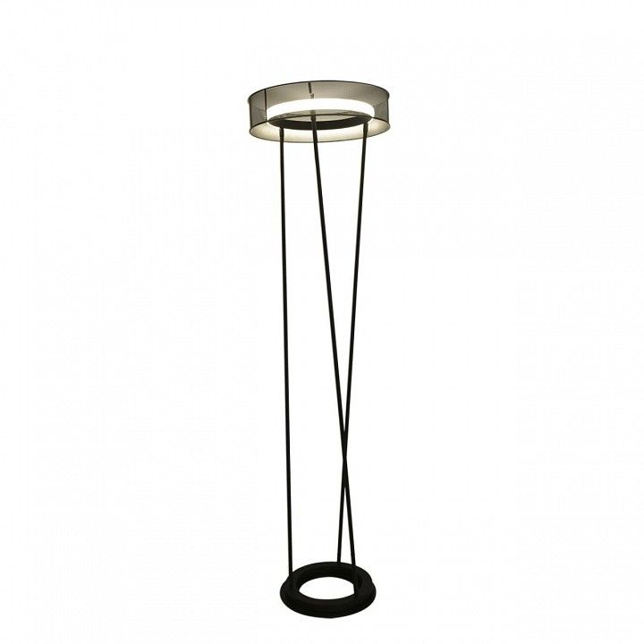 Торшер Lumion LEDIO 8370/30FL