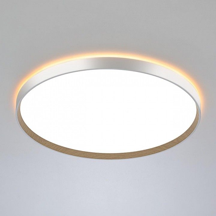 Накладной светильник Citilux ETALON CL750500R