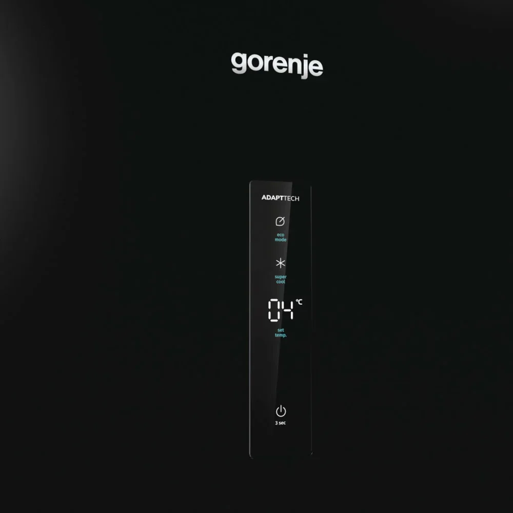 Холодильник Gorenje R619EABK6