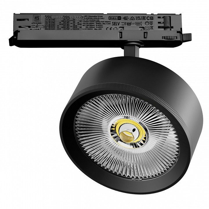 Светильник на штанге Lightstar Alta Pro A5747DALI