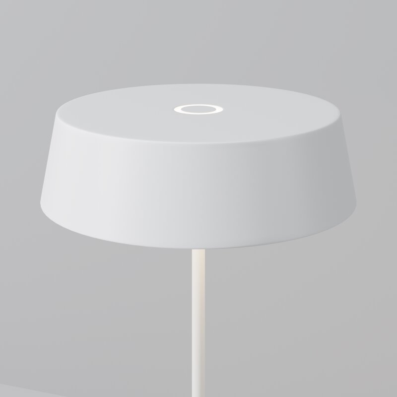 Наземный низкий светильник Maytoni Outdoor Porto O540TL-L2WCCT