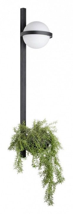 Бра Loft it Jardin 10121W/B