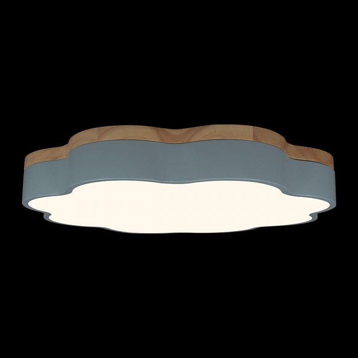 Накладной светильник Loft it Axel 10225/36 Blue