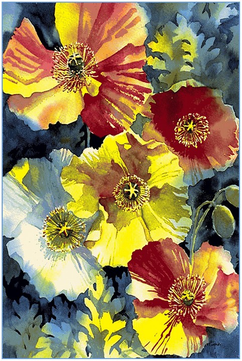 Ковер интерьерный (240x340 см) Hunnu