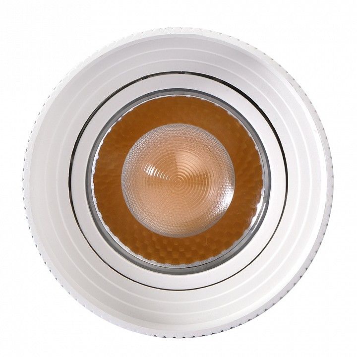 Светильник на штанге Jazzway  PTR 0728 ZOOM 28w 3000K 15-60° WH IP40