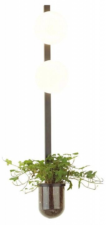 Бра Odeon Light Flower 4681/2WA