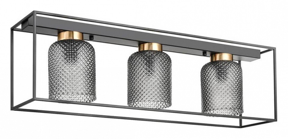 Накладной светильник Vele Luce Morrison VL5472L03