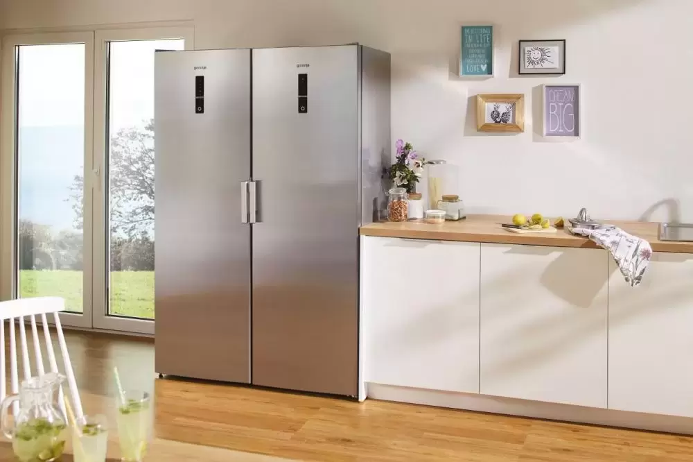 Однокамерный холодильник Gorenje R 6192 LX