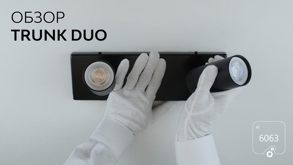 Спот 6063 Trunk Duo 1030801