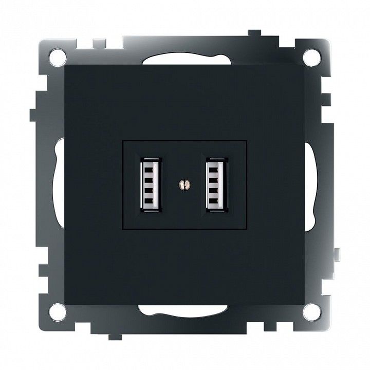 Розетка USB type A без рамки Stekker Катрин 39616