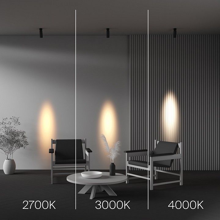Светильник на штанге Maytoni Technical Фокус C055CL-L12W2.7K-SS-B