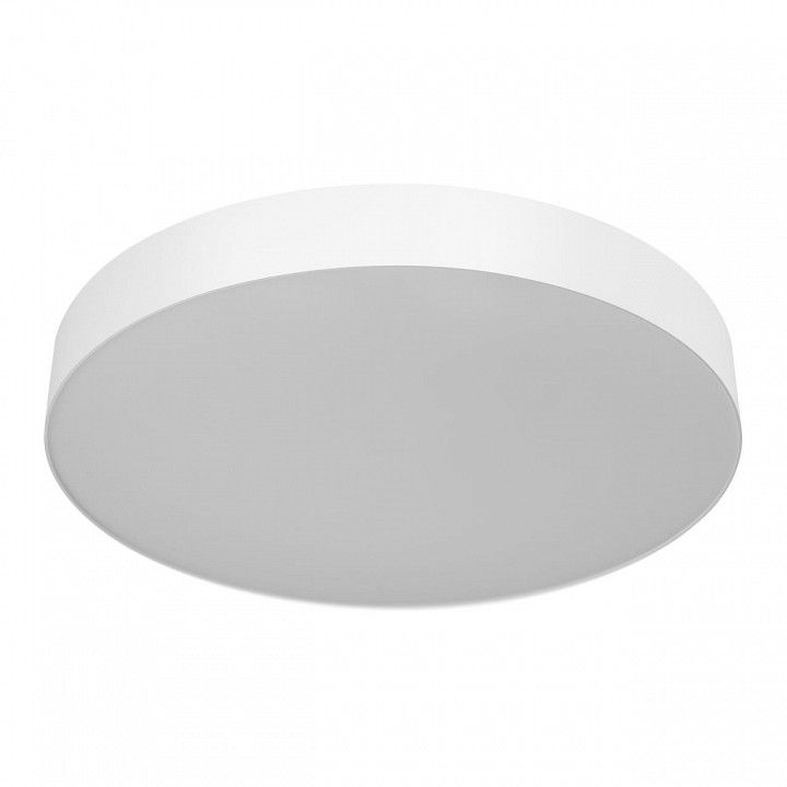 Накладной светильник Citilux BART CL755490