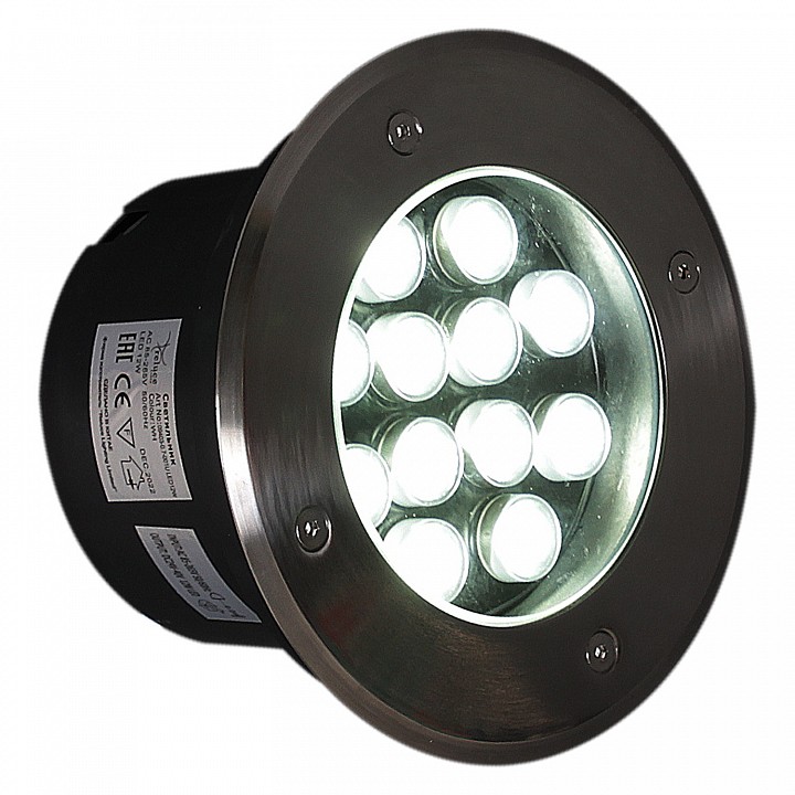 Встраиваемый в дорогу светильник Reluce  09403-0.7-001U LED12W WH