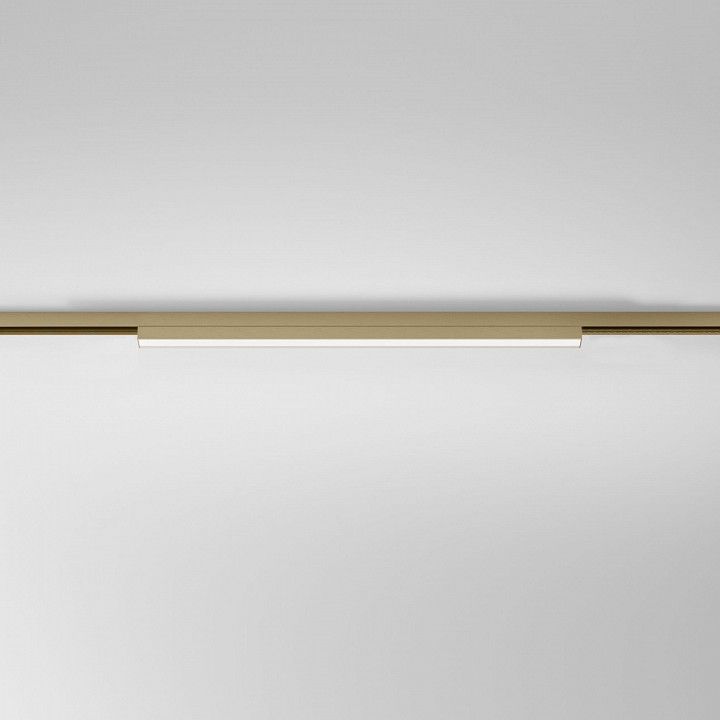Накладной светильник Elektrostandard  85527/01