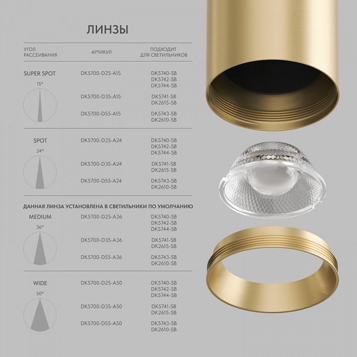 Накладной светильник Denkirs SHINE SPOT DK5743-SB