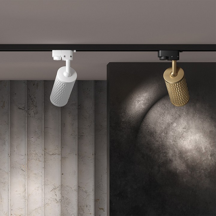 Светильник на штанге Maytoni Technical Focus Design TR011-1-GU10-G