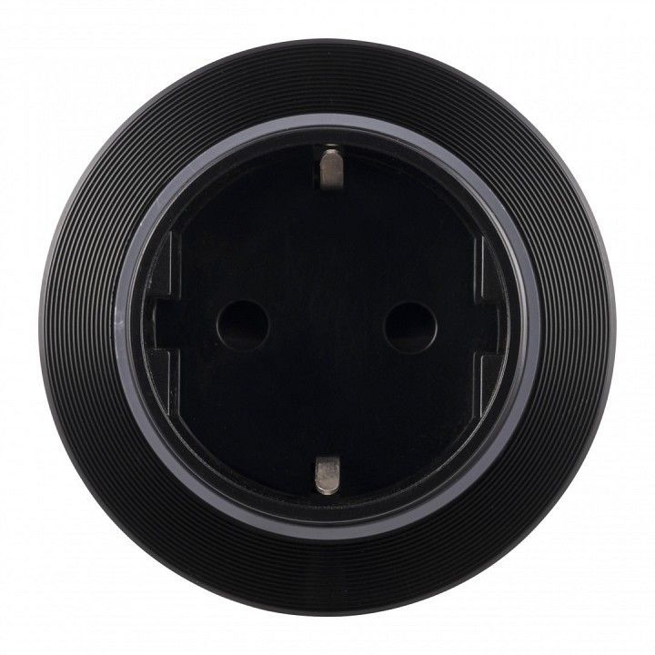 Розетка с заземлением на треке Arte Milano Am-track-sockets-39 397952TS/ES Black