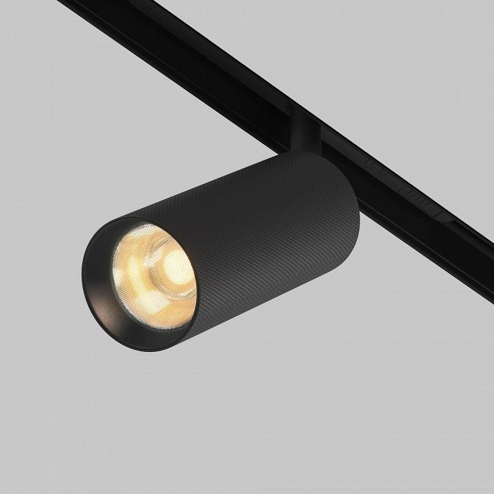 Светильник на штанге Maytoni Technical Мастер TR097-2-12W2.7K-M-BB
