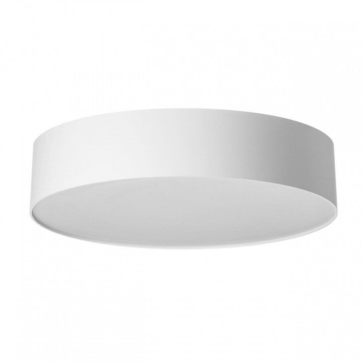 Накладной светильник Citilux BART CL755290