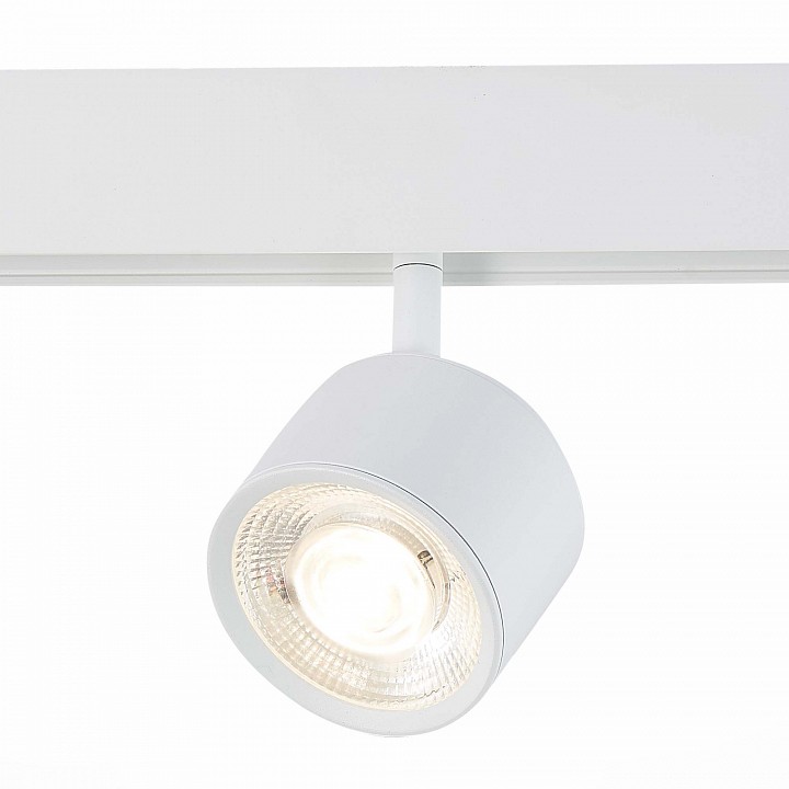 Светильник на штанге ST-Luce Vedo ST353.546.06