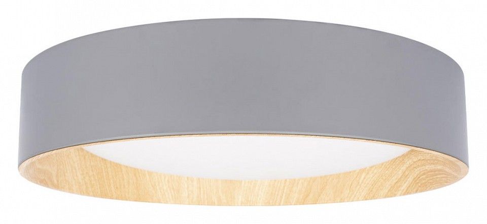 Накладной светильник Loft it Coin 10202 Grey