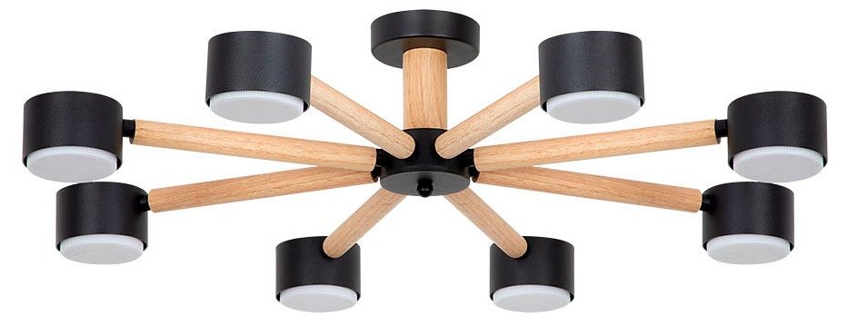 Потолочная люстра Arte Lamp TENDA A1624PL-8BK