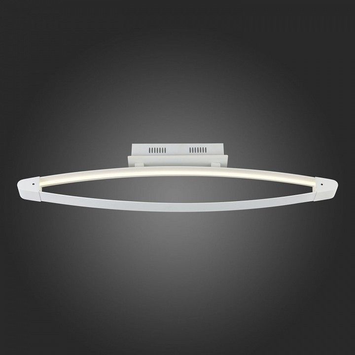 Накладной светильник ST-Luce SL920 SL920.102.01