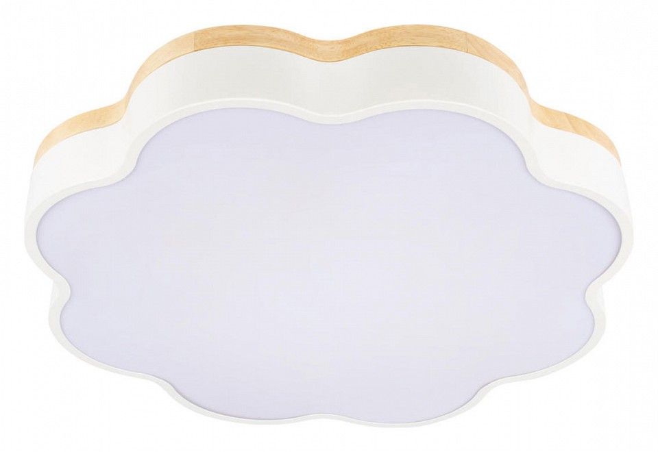 Накладной светильник Loft it Axel 10225/36 White