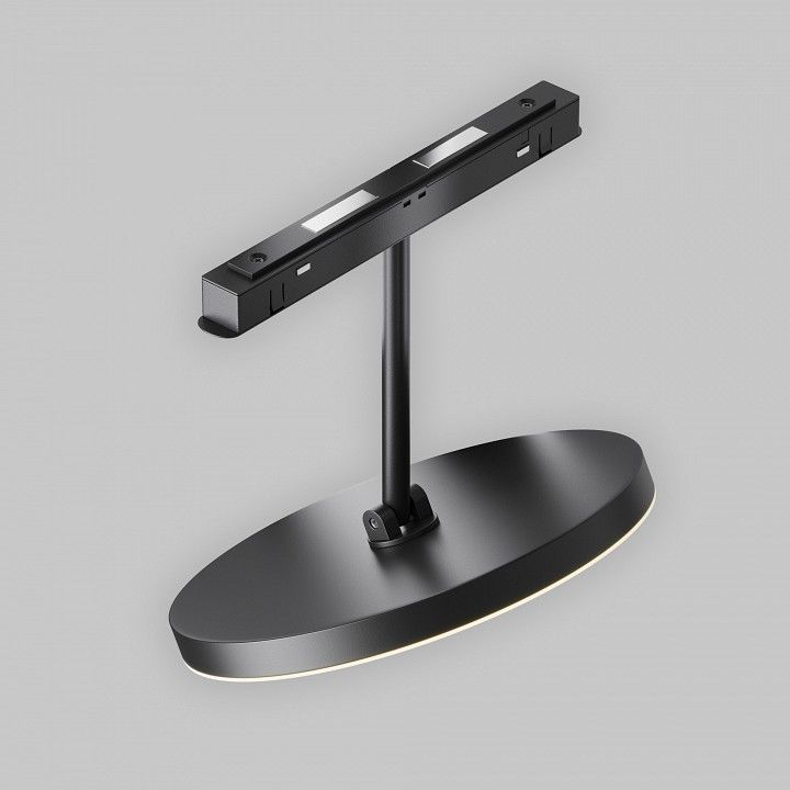 Светильник на штанге Maytoni Technical Plato TR131-2-15W3K-B
