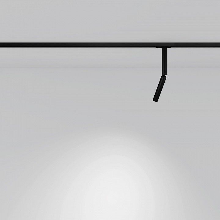 Светильник на штанге Maytoni Technical Фокус Двойной TR142-1-6W4K-B