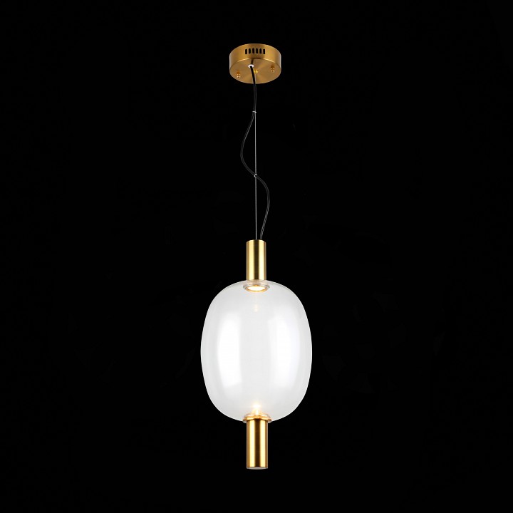 Подвесной светильник ST-Luce Allenore SL1582.313.01