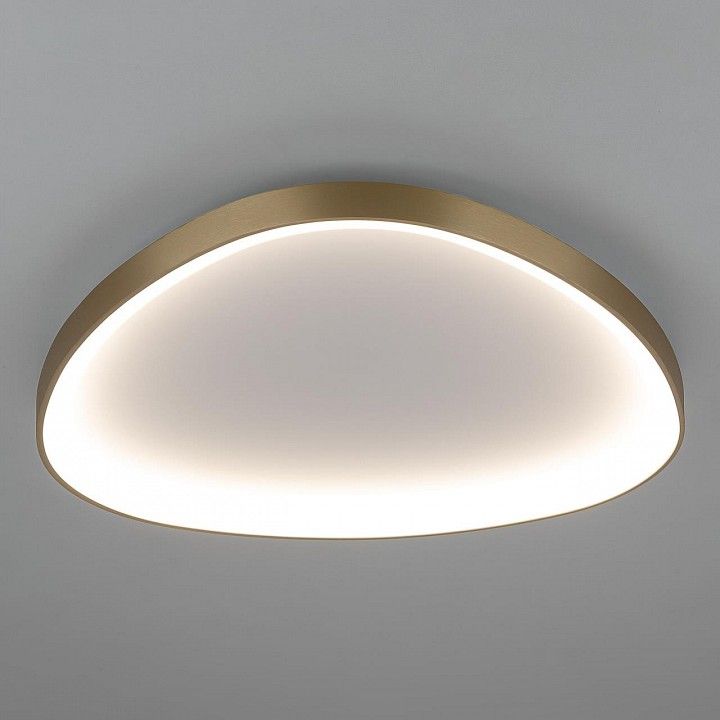Накладной светильник Citilux GENKA SMART CL756A162