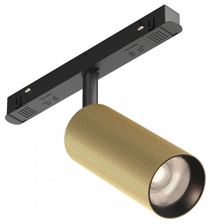 Светильник на штанге Maytoni Technical Мастер TR097-2-12W4K-M-BMG