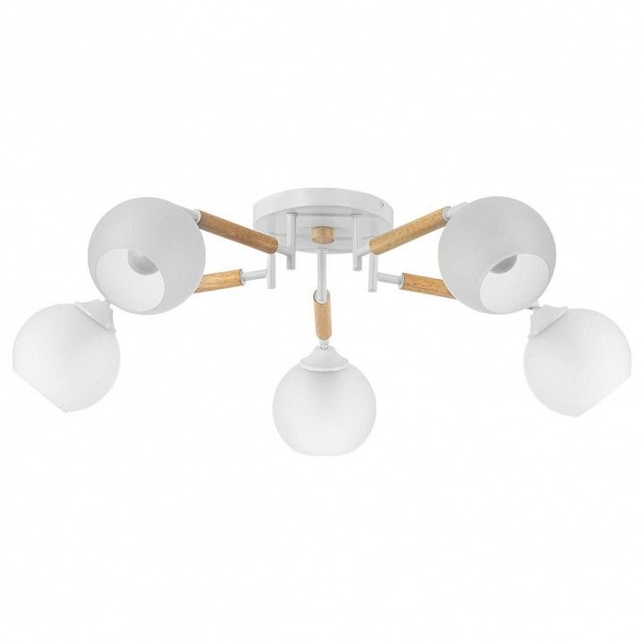 Потолочная люстра Citilux Tika CL133150