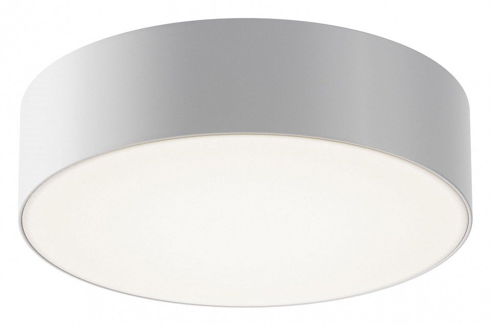 Накладной светильник Maytoni Outdoor Zon IP O431CL-L30W4K